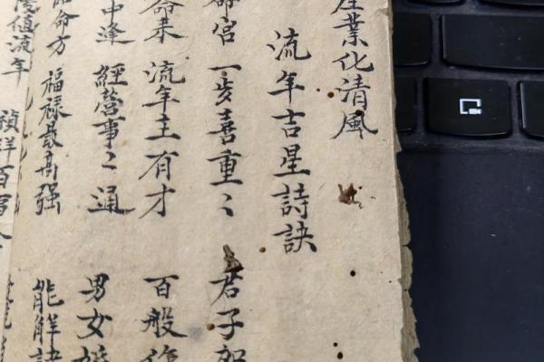 探索五行命理：了解您命中的元素与性格秘诀