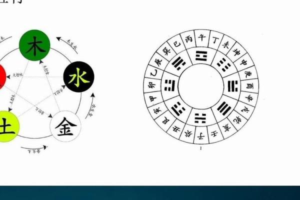 探寻九四年和九八年的属相命理奥秘 探寻九四年和九八年的属相命理奥秘
