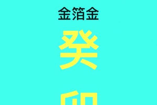 丁丑女命日柱解析:性格特点与命理运势揭秘 丁丑女命日柱解析:性格特点与命理运势揭秘