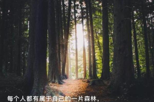 木火命八字特点解析:从命理看生命的热情与活力 木火命八字特点解析:从命理看生命的热情与活力