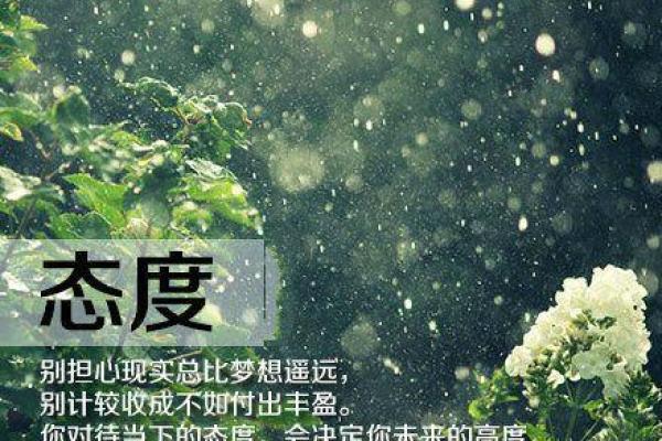 命不压命:生命的自主与追求自由的哲学探讨 命不压命:生命的自主与追求自由的哲学探讨