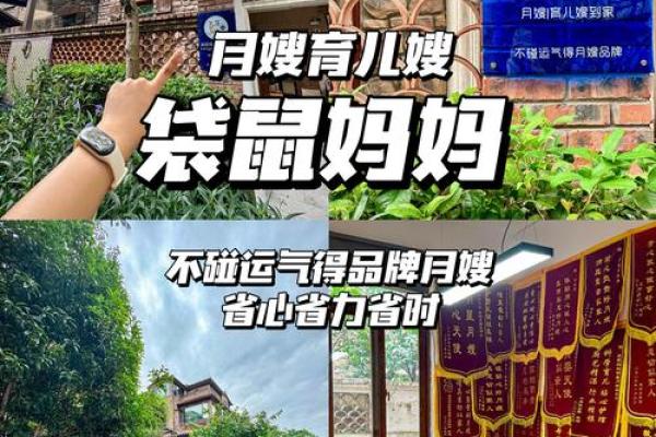 2024年孩子的命运与运势解析:如何为新生命赋予好运气 2024年孩子的命运与运势解析:如何为新生命赋予好运气