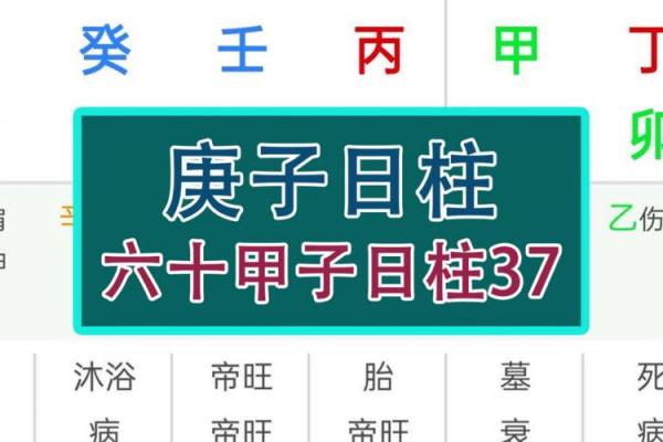 男命日主日元解密:探索八字中的命运密码 男命日主日元解密:探索八字中的命运密码