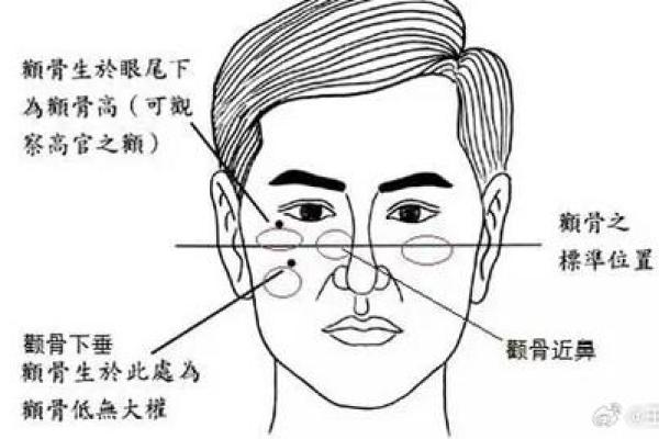 眉骨凸起的男人:揭示命运与个性的深刻联系 眉骨凸起的男人:揭示命运与个性的深刻联系