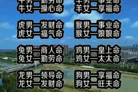 命格揭秘：了解你的命运与人生走向