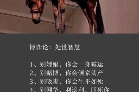 揭秘命带公战：运势与人生的博弈之道