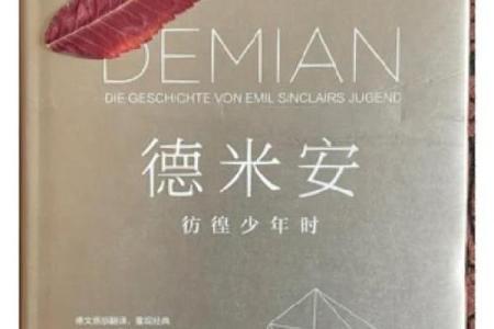 命带木马的女人：一场探索自我与命运的旅程