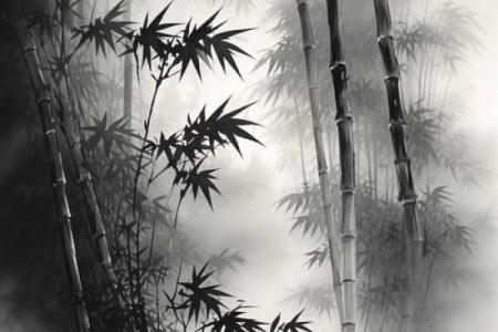 木命者命名禁忌：如何为木命人选择合适的名字