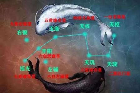 鹏字五行分析：领略鹏的象征意义与命理解读