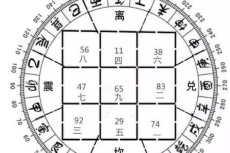 男命没有桃花，命理背后的深意与影响