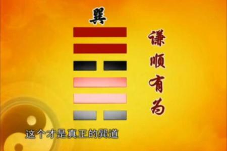 命理四件：深入探讨命运之道的四大要素与影响力