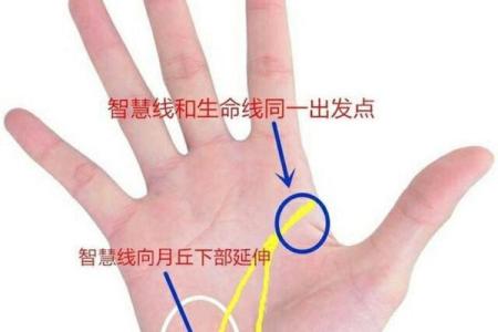 六十岁男人的命理解析：寻求生命的智慧与方向