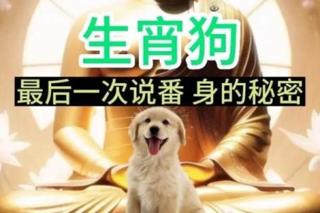 1994年出生的狗：命运与性格的深刻解读