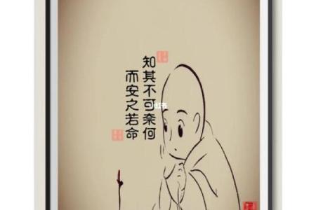 命不归则命不去：探寻命运与选择的深刻之道