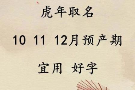 卯时出生的虎宝宝：命运与性格的奇妙探秘