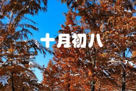 农历十月初八出生的人命理解析：缺什么该如何补救？