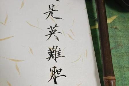 命格修正：探寻个体命运与自我提升的智慧之路