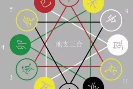 炉中火命与生肖动物的财富关联探秘