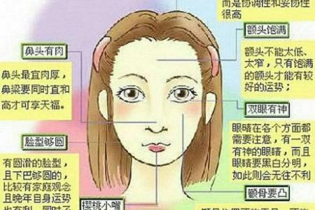 面相与性格分析：暴躁与温和命格的深层次联系
