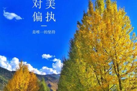 命格高低由什么决定？探寻生命的奥秘与命理之道