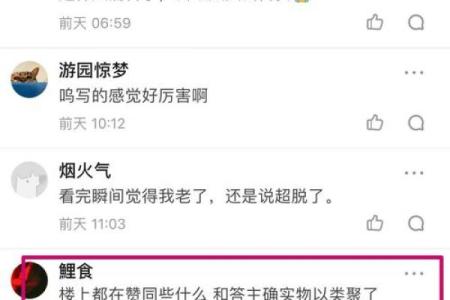 青鸟命格解析：如何妥善应对命运中的挑战与机遇