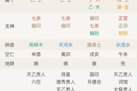 探秘命理中的食神：如何影响个人的运势与命运