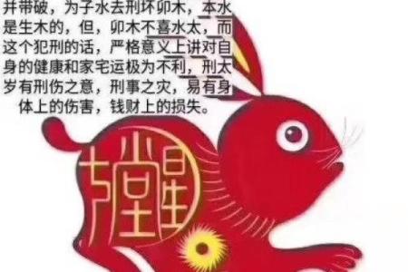 六三年五月兔的命理解析与人生启示