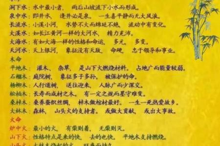 2024年1月五行命理解析：了解五行属相对人生的影响与启示