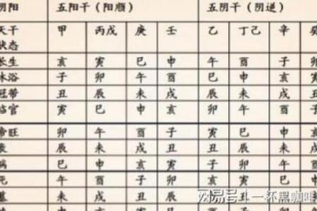 卯年桃花旺：命理分析与人生启示