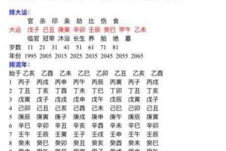 探索农历11月5日出生者的命运与个性特征