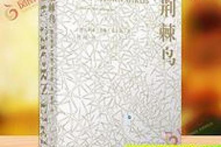 龙与石头生的孩子：命运的奇妙交织与象征启示
