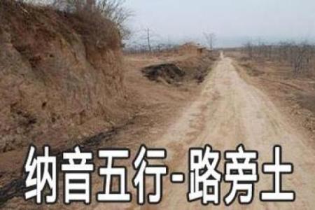 如何为路旁土命人起个合适又好听的名字？一起来探讨一下吧！