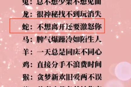龙与鸡的爱情：命中注定的缘分与挑战