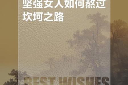 女生四两命：轻盈与坚韧的完美结合