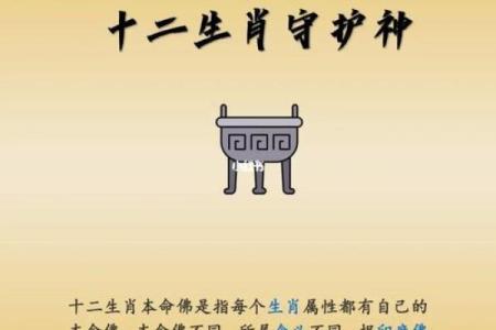 命里缺金的生肖女性特征与发展建议