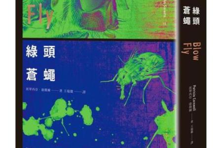龙与石头的奇妙结合：探索他们的孩子命运的秘密