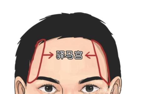 命带驿马的女人适合追求的职业与生活方向解析