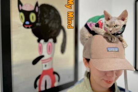 猫有九条命：九种不同的生活体验与探险之旅