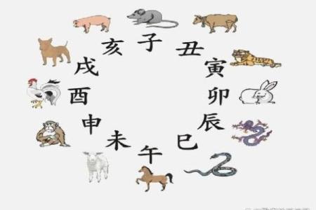 命理解析：如何根据属相解读命运与个性特征？