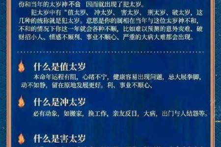 路旁土命与不宜婚配的生肖分析：揭示命理中的真相与秘诀