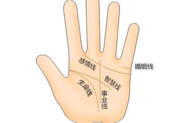 揭开男命三两两的神秘面纱,探秘命理与人生的深刻关联 揭开男命三两两的神秘面纱,探秘命理与人生的深刻关联