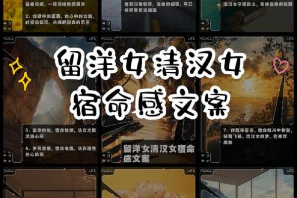 命归仇仙管——探索宿命与复仇的交织之路 命归仇仙管——探索宿命与复仇的交织之路