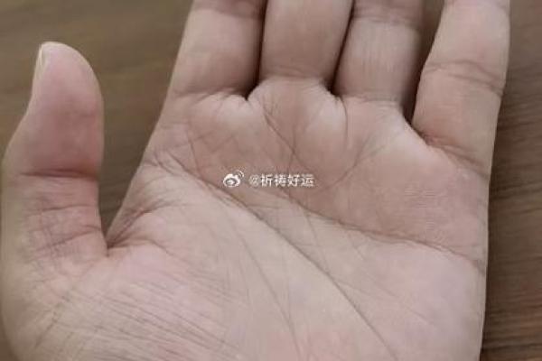 蝴蝶命女:手相中隐藏的美丽与命运之谜 蝴蝶命女:手相中隐藏的美丽与命运之谜