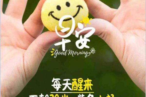 命的一半加羽,释开心灵的自由与梦想 命的一半加羽,释开心灵的自由与梦想