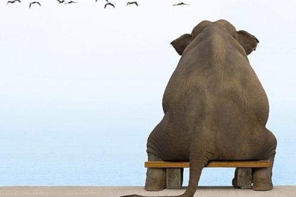 探索玛瑙命的人:他们的性格与人生旅程 探索玛瑙命的人:他们的性格与人生旅程