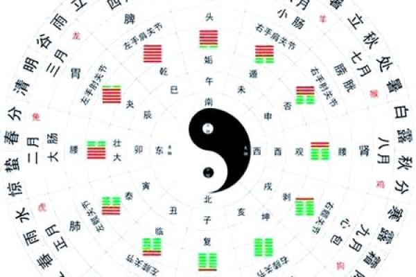 命理五行缺水的人生解析与命运特点 命理五行缺水的人生解析与命运特点