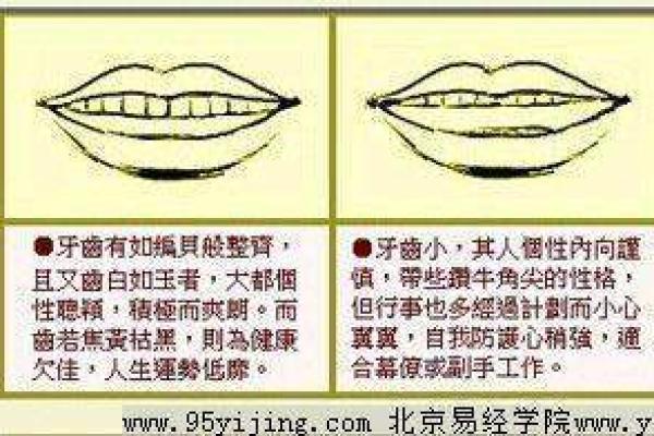 木命的旺盛时期与人生运势的关系探讨 木命的旺盛时期与人生运势的关系探讨