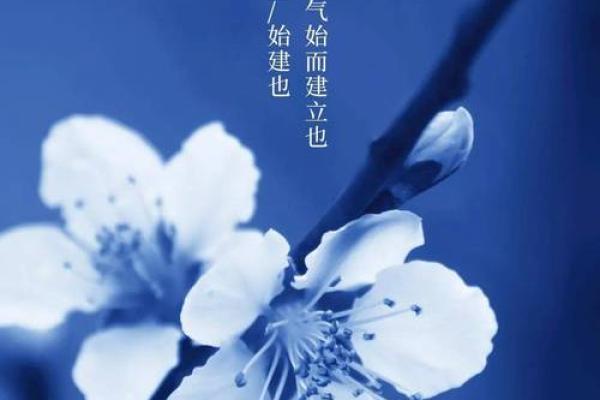 立春出生的人命理解析:如何把握人生的春天机遇 立春出生的人命理解析:如何把握人生的春天机遇