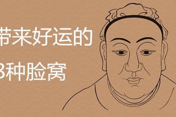 脸上有两个酒窝的命运象征与人生启示 脸上有两个酒窝的命运象征与人生启示