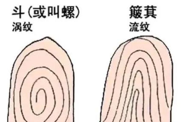 男人十个斗:揭示你命运的秘密与生活智慧 男人十个斗:揭示你命运的秘密与生活智慧